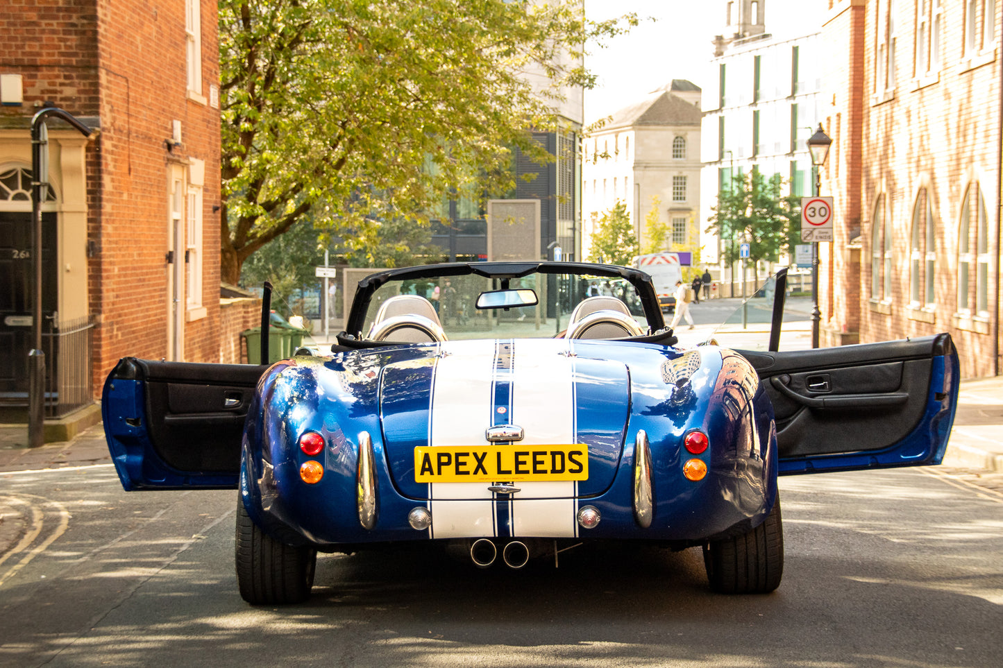 Cobra Replica