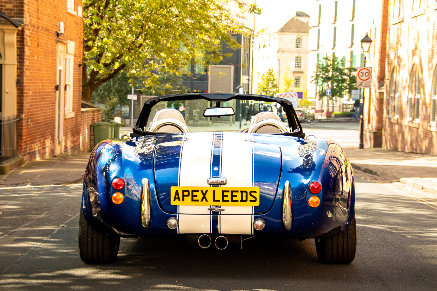 Cobra Replica