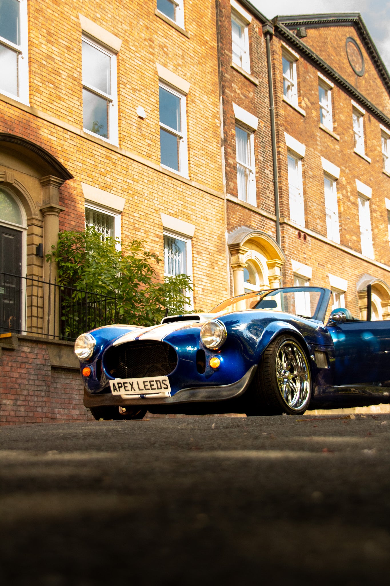Cobra Replica