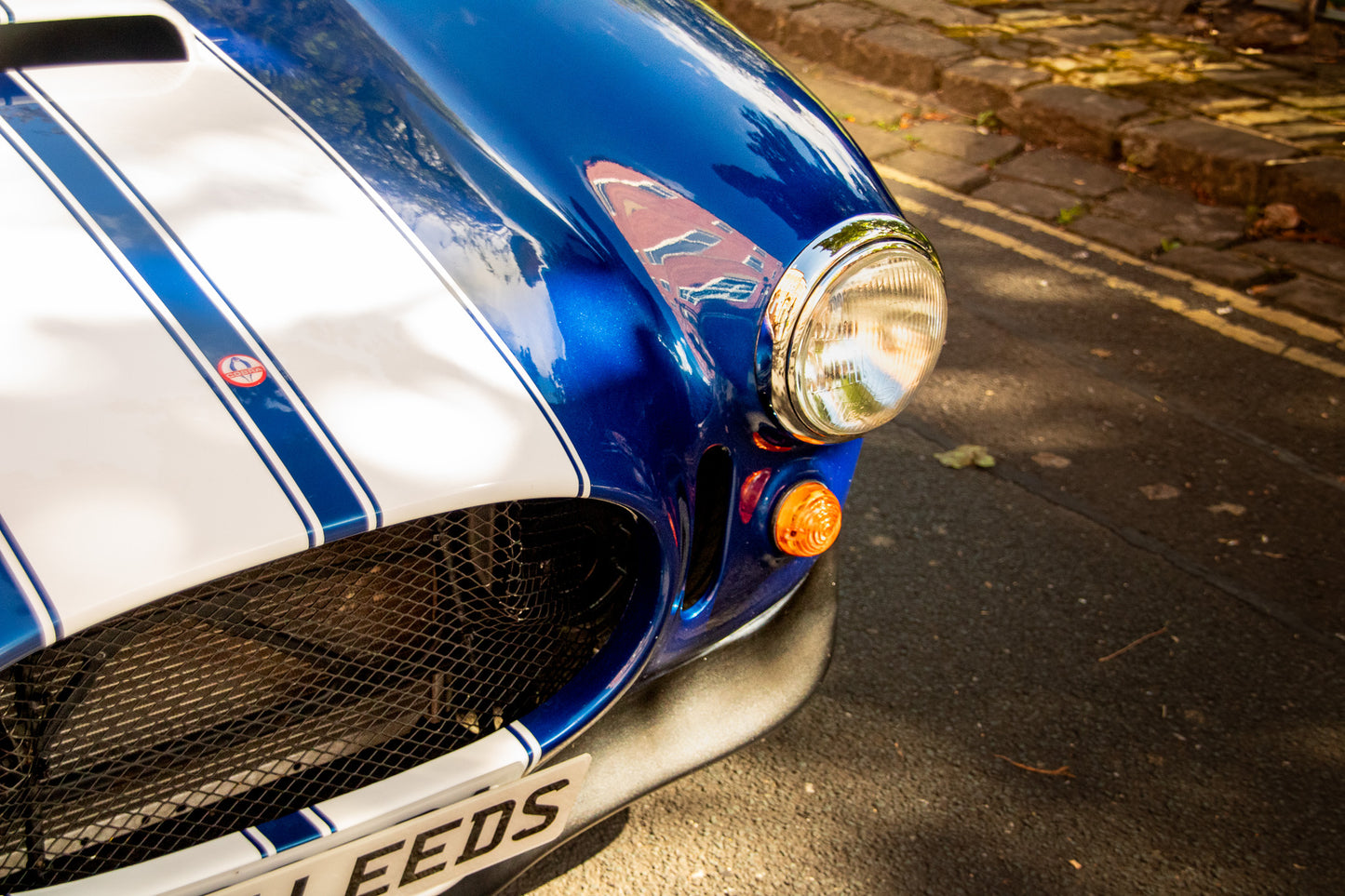 Cobra Replica